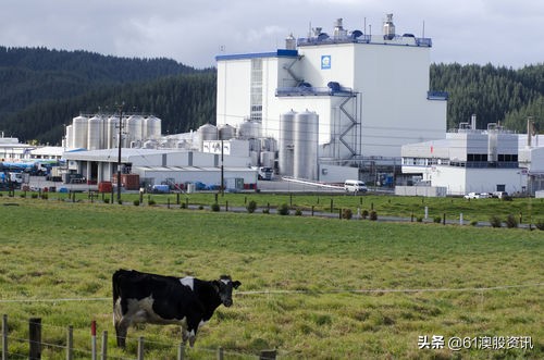 澳大利亚出口中国的奶粉有哪些,澳大利亚乳业有哪些