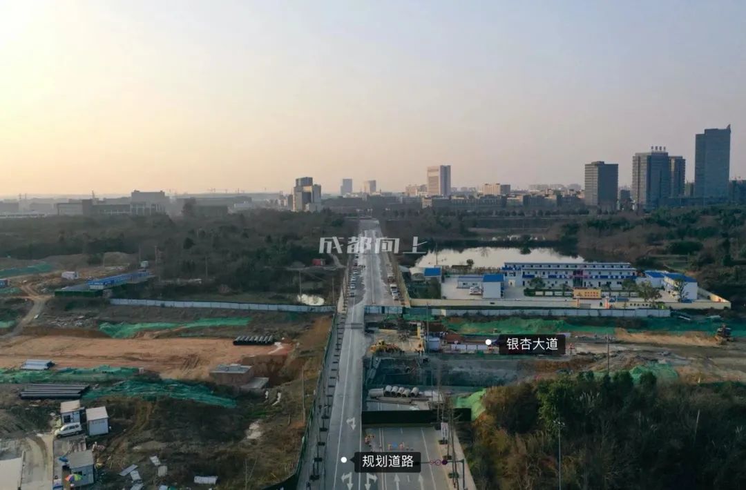 东安湖与怡心湖哪个好,怡心湖和东安湖哪个好玩