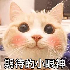 刘若英世界巡回演唱会53场直播,刘若英演唱会直播全程