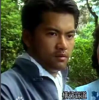 老版万水千山总是情全部剧集,香港电视剧万水千山总是情演员表