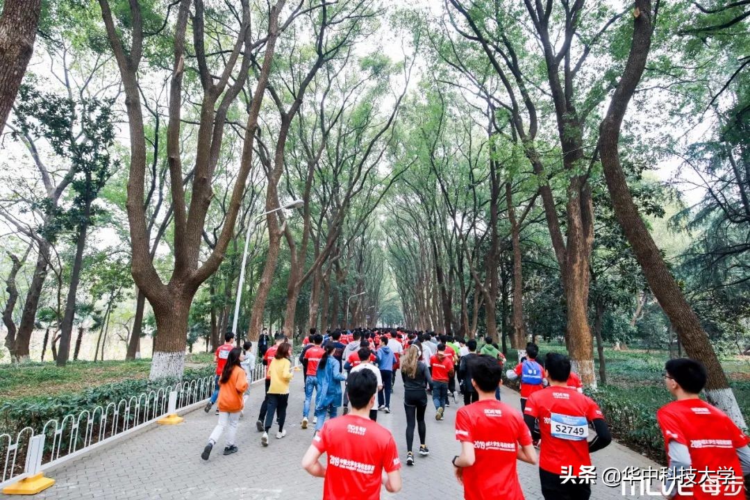 校园看跑步比赛,校园马拉松比赛