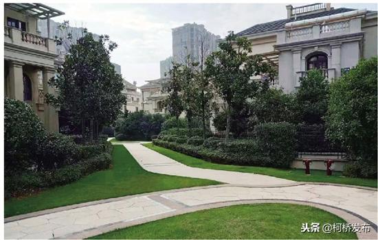 柯桥步行街改造提升方案,柯桥区城市建设