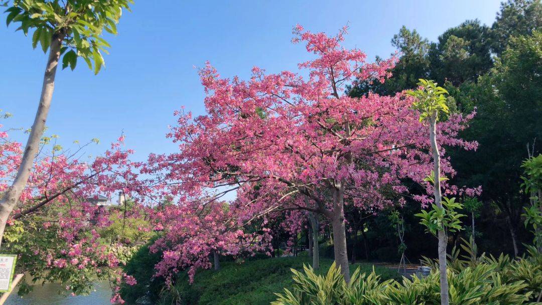 清远森波拉温泉度假村酒店好玩吗,清远森波拉温泉度假酒店附近景点