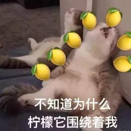 西安要开什么大会,西安美食大会