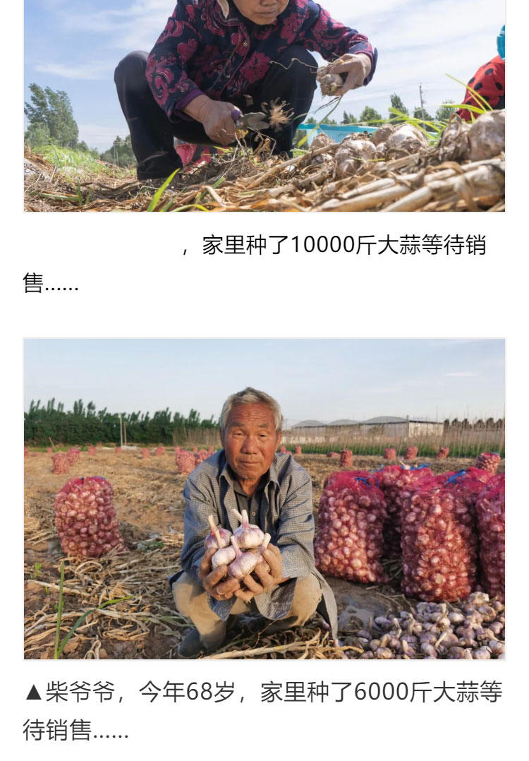 鍔╁啘鐧惧崄涓囦憨婊為攢澶ц挏,绱毊澶ц挏椴滆挏鍔╁啘5鏂よ