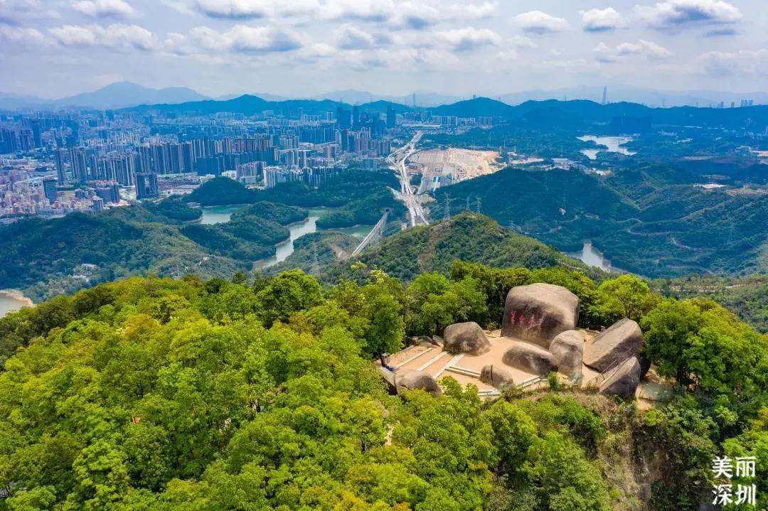 不离深也能“游”|公园超全攻略来了！千园之城，总有一款公园适合你