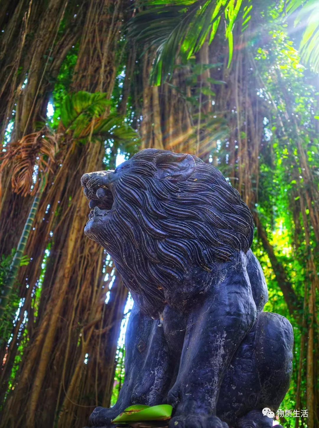 巴厘岛四季如夏吗,阳光明媚的巴厘岛