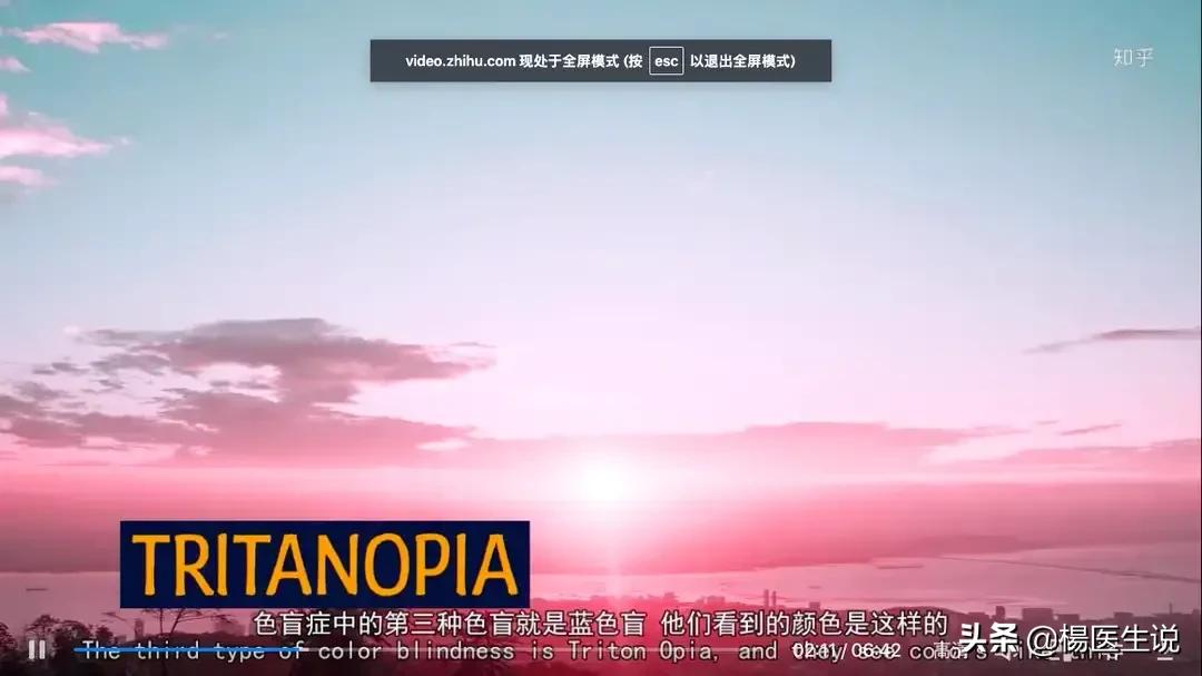 色盲眼中的世界,黄绿色盲患者眼中的世界