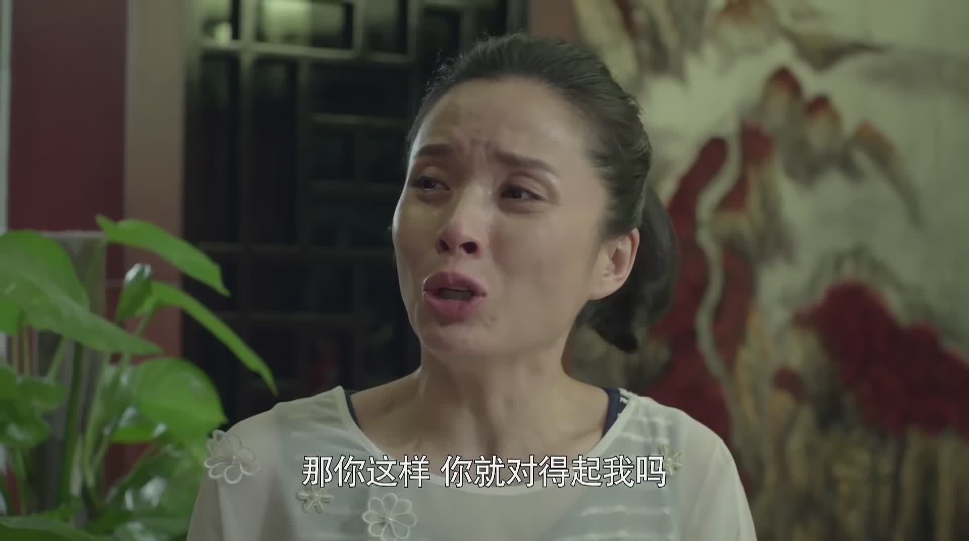 虎妈猫爸童年回忆,虎妈猫爸旧情复燃