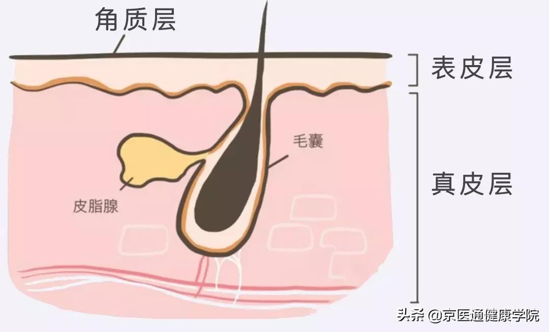 脸色发黄毛孔粗大出油严重怎么办,脸部爱出油长痘毛孔粗大怎么调理