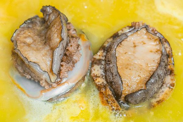 魔都惊现「2层楼小香港」，卖“蹦迪海鲜”！花胶鸡、6头鲍免费送