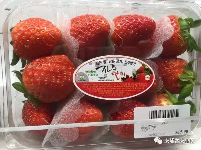 金边富人区真实生活,金边生活一个月花费多少