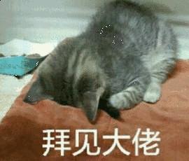 福懋宠物医院驱虫,福懋宠物医院母狗绝育