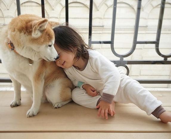 养什么狗好大型犬不咬人,家养宠物狗小型犬不咬人