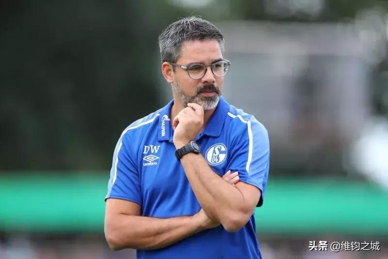 德甲换帅最新名单,德甲沙尔克换帅