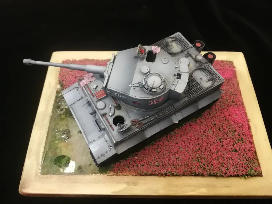 二战德国女兵阅兵,二战德国女兵的视频