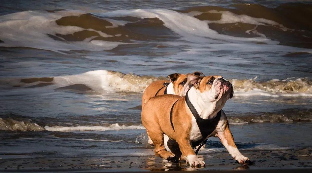 福利来了四个字图片大全,获取免费商业图片的网站