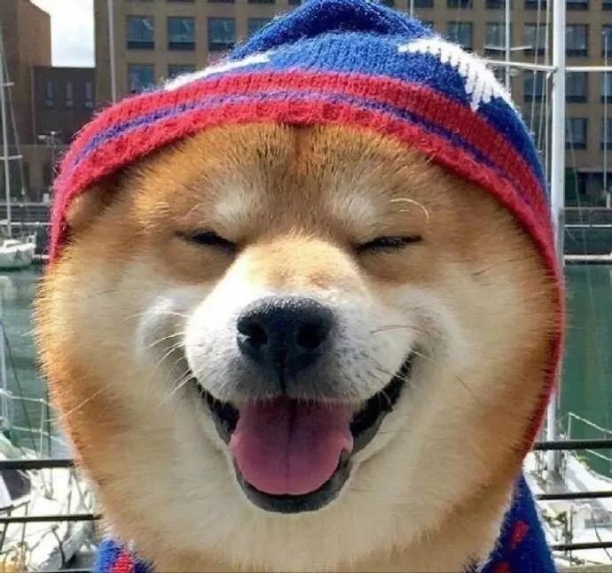 除了behance还有哪些设计网站,behance设计官网打不开