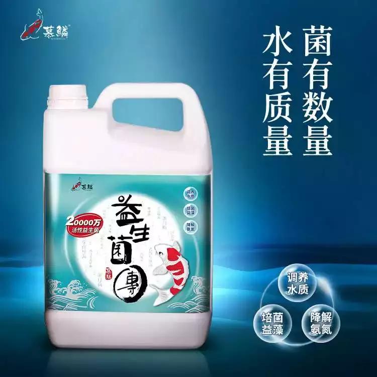 蝴蝶鲤容易生病的原因,警惕成长环境对我们的影响