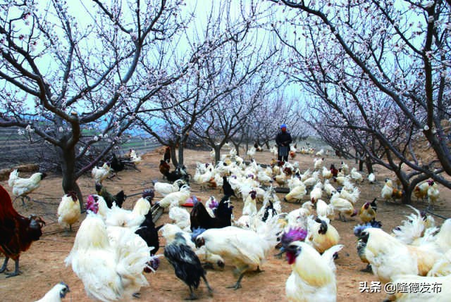 70年·夸夸我的城｜固原：吾心安处是吾乡，蓄势待发未来可期！