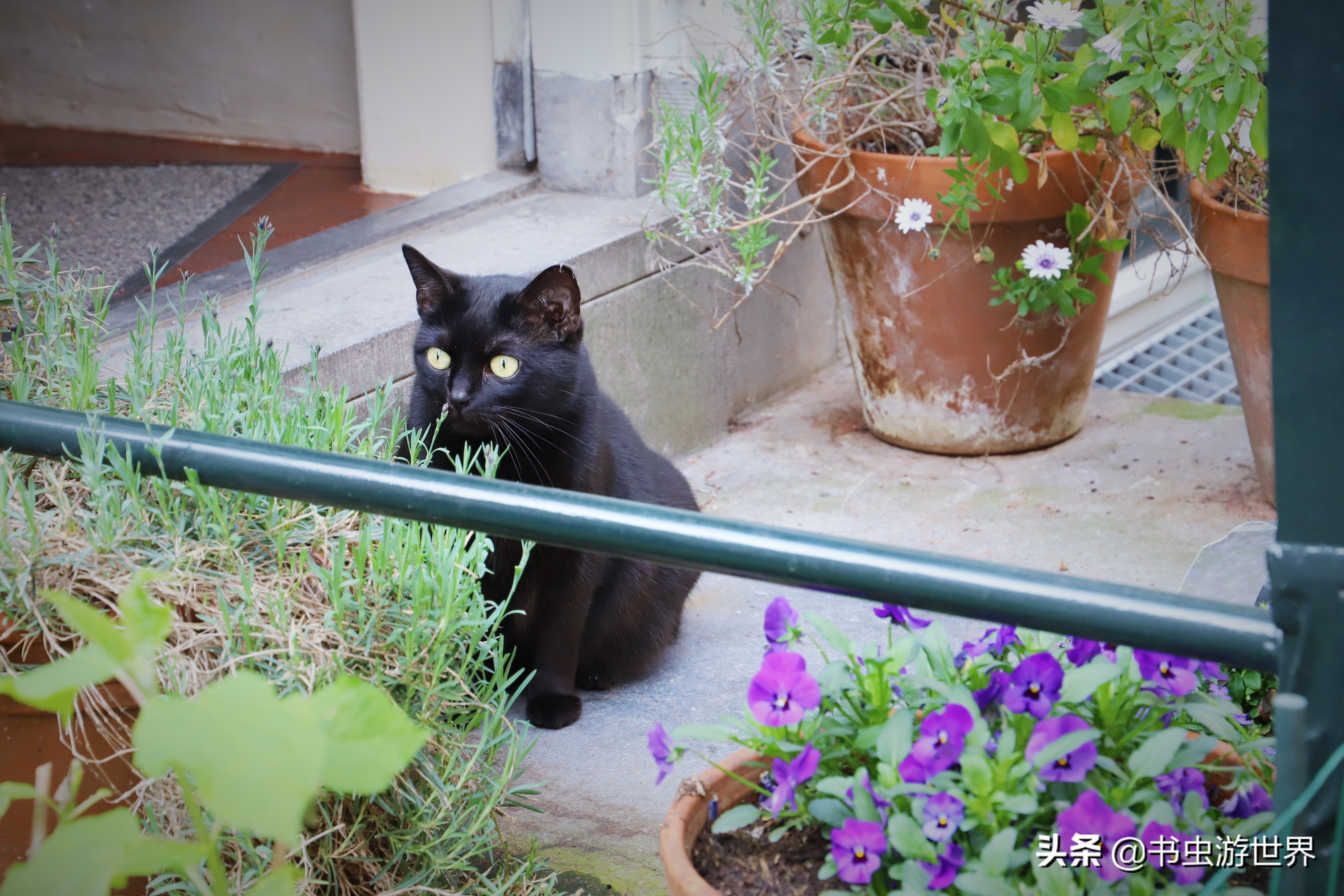 阿城寻宝,阿城摄影景点