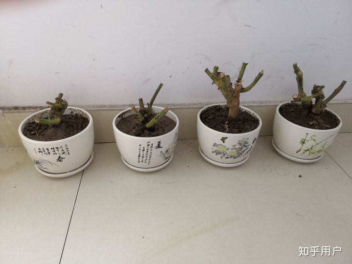 七夕情人节送喜欢的人什么礼物,七夕情人节送什么礼物最感动的