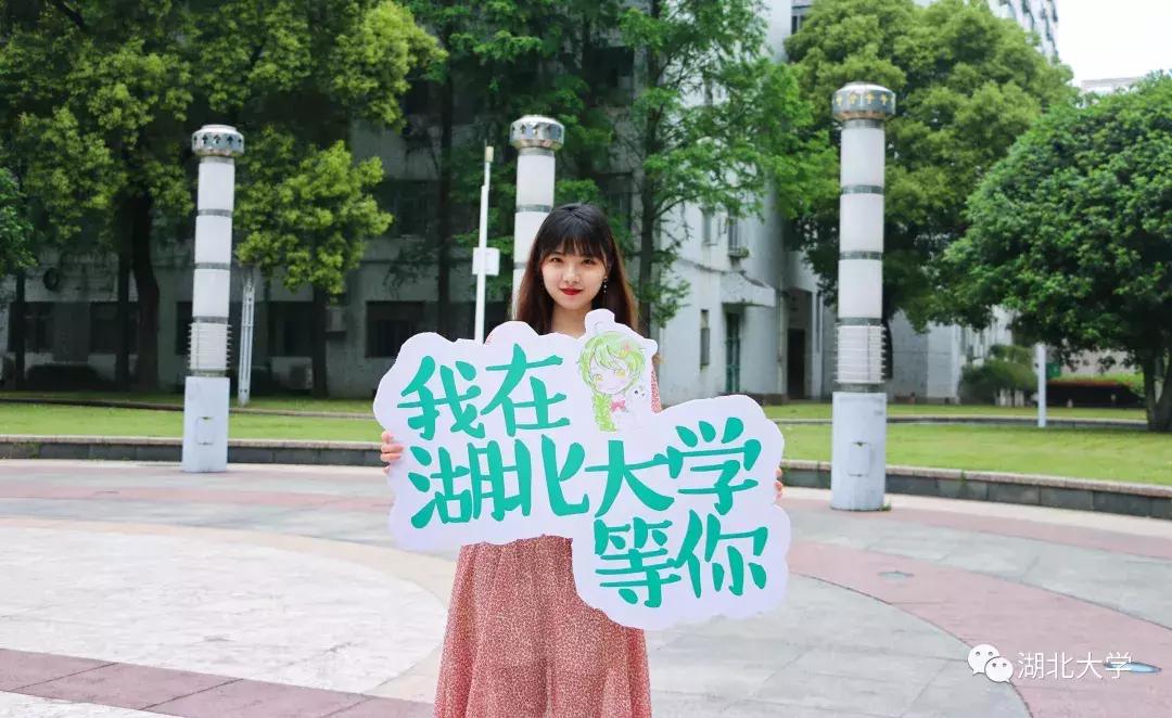 高考志愿湖北大学,高考志愿填报湖北大学