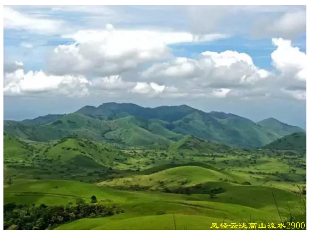 中国红茶肯尼亚红茶,肯尼亚红茶优势