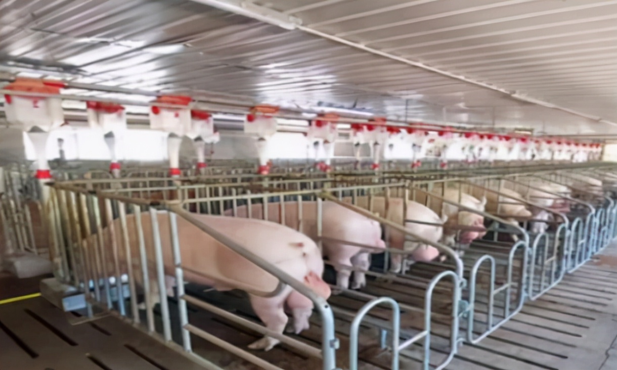 华为鸿蒙系统4.0.0.127,华为鸿蒙系统目前遇到的困境