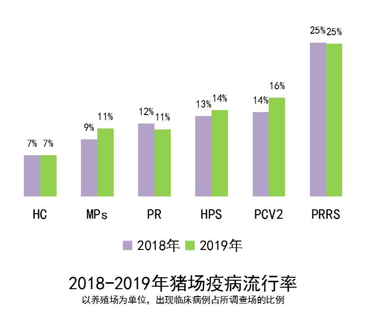 猪非瘟预防,圆环副猪怎么治疗