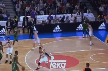 鲁迪费尔南德斯被阿里扎犯规,鲁迪费尔南德斯开拓者十佳球