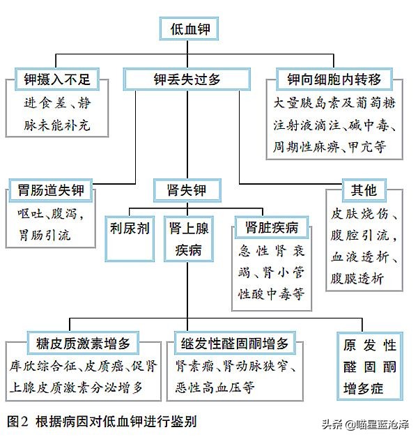 猫咪肠胃炎好了后食欲不好,猫咪肠胃炎引起的高热怎么治