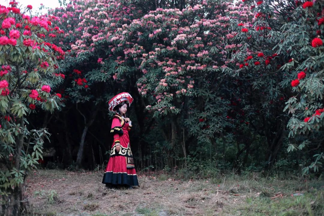 贵州有好多景点,贵州今年比较火的景点