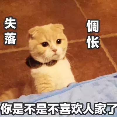 有没有办法让猫咪拉屎不臭,猫咪嘴臭是怎么回事