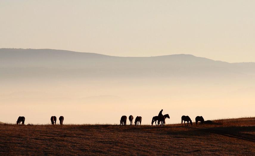 何为七情六欲？何为红尘？这里有你想要的答案