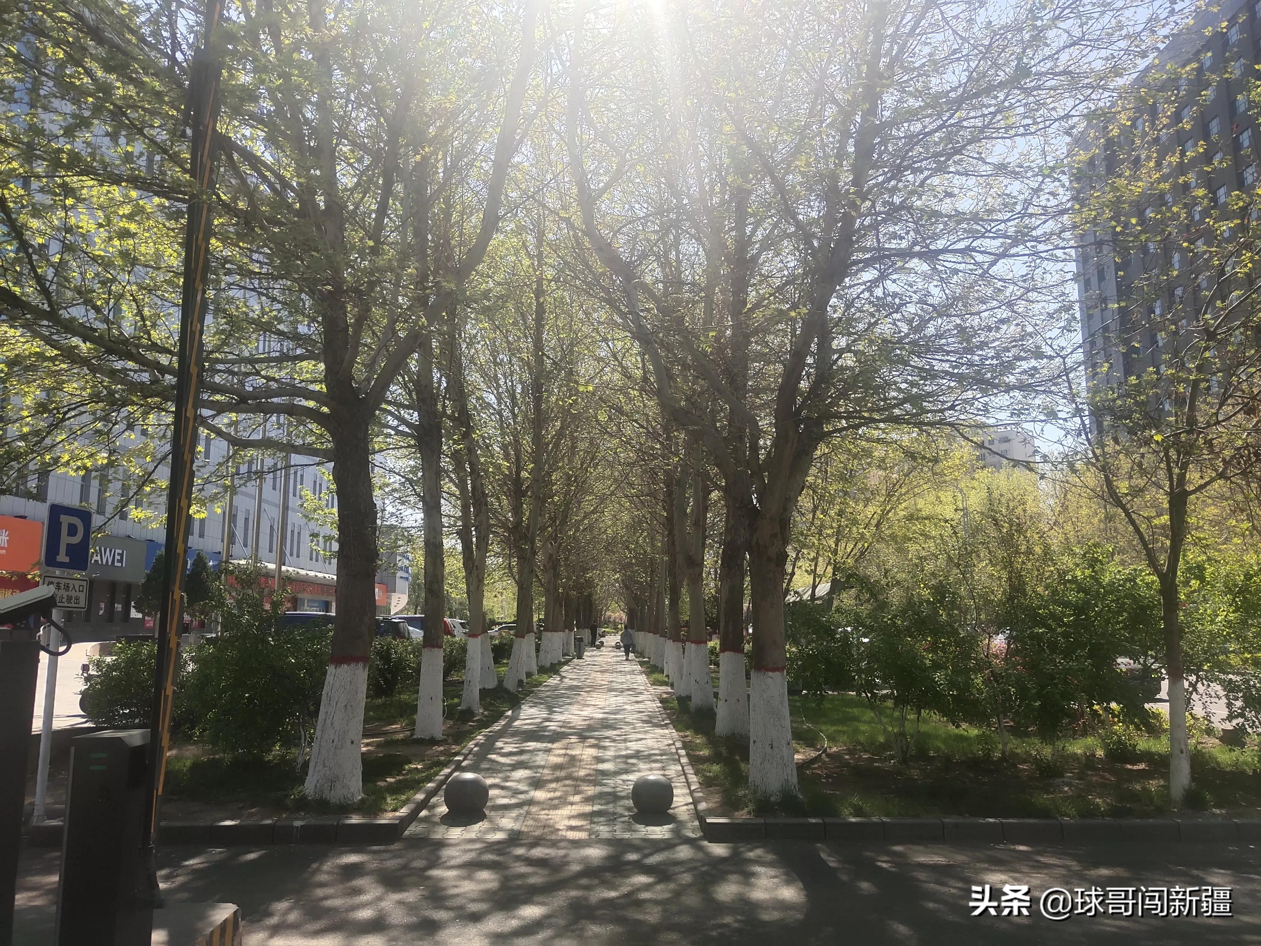 伊宁市具备成为大城市的许多条件，旅游业发达，为何仅排*疆新**第四