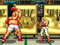 md战棋游戏,md双人游戏