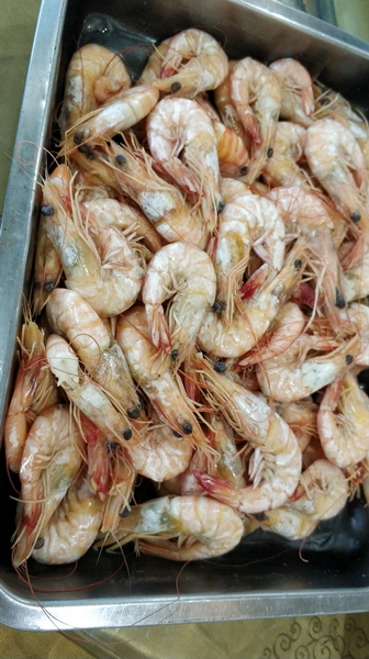 20200906骑行中国第一大火山岛——硇洲岛