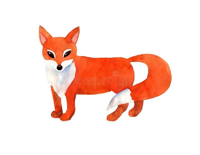 办健身卡有多少人后悔,办健身年卡靠谱么