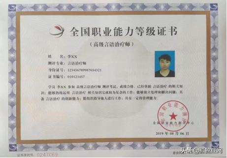 言语治疗师精英认证培训班6月4日进行