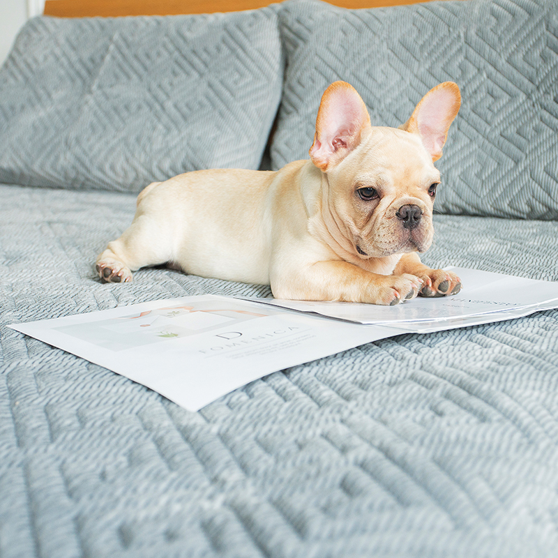 冬季盖蚕丝被保暖还是棉被保暖,羽绒被蚕丝被棉被哪种最暖