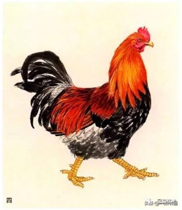 写意国画鸡画法技巧,小写意画鸡怎么画视频教学
