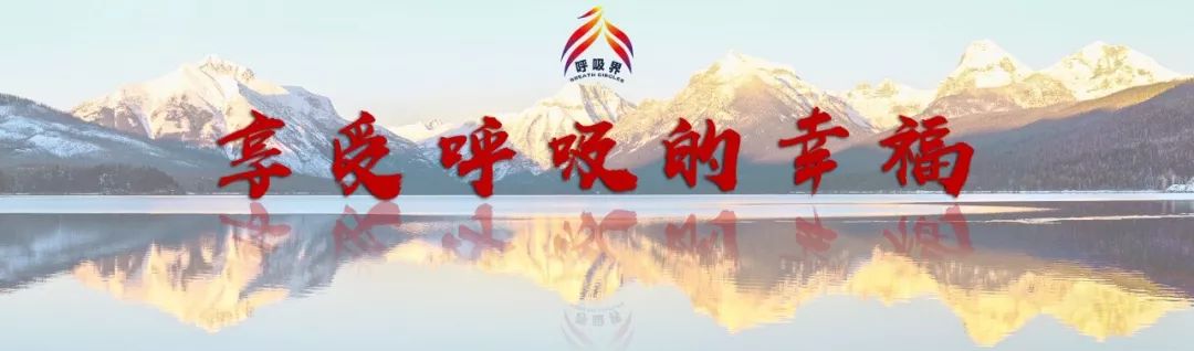 中国肺高压诊断和治疗指南2021,肺动脉高压指南最新