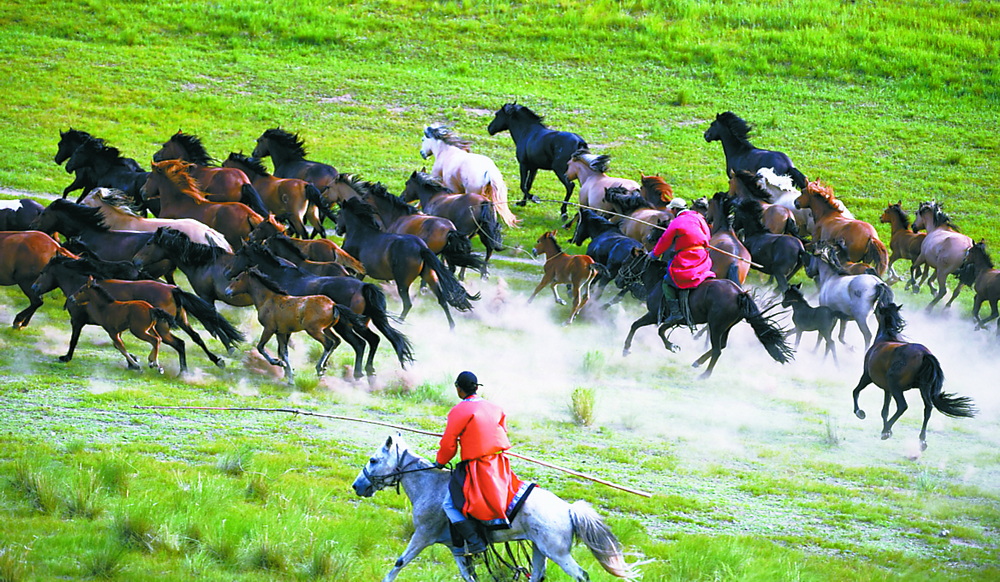 内蒙南北大环线8日游,京蒙自驾游