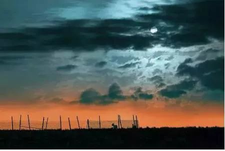 蒙古族信奉长生天还是佛,蒙古族长生天表达的意思