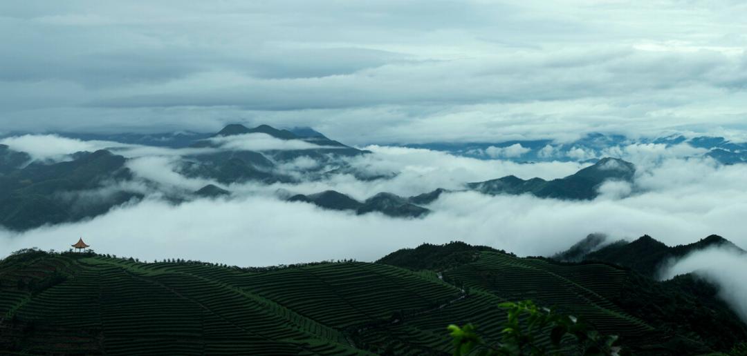 宁波最隐藏的海岛,被浙江人私藏的江南小城