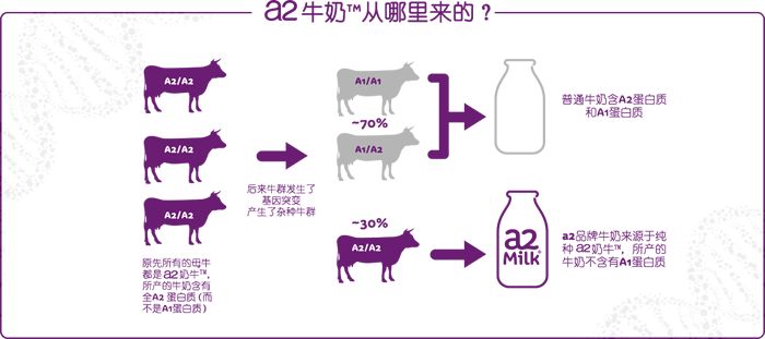 年度大赏,年度产品大赏