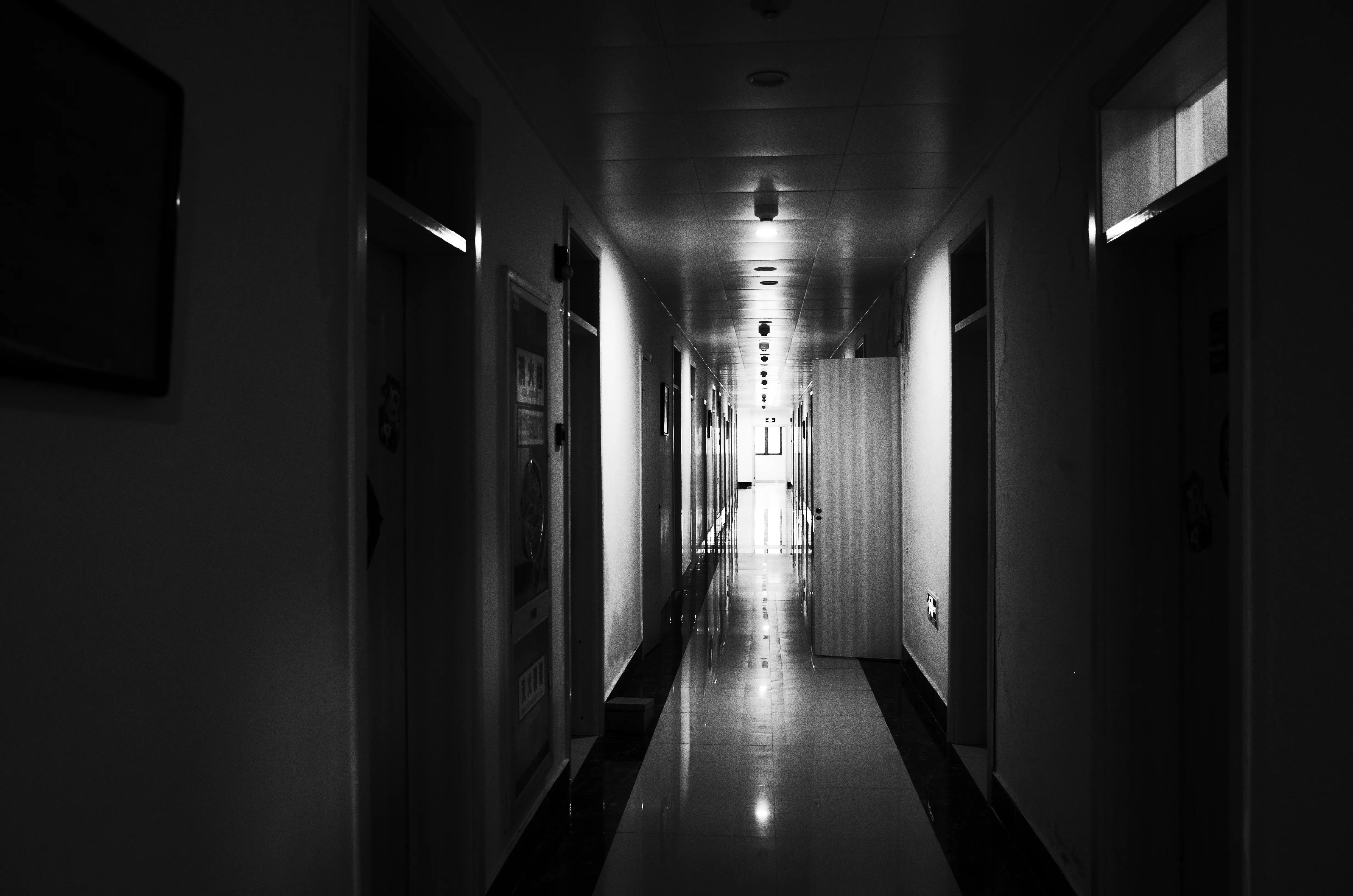 相机里的爸爸,相机里爸爸和弟弟的同框