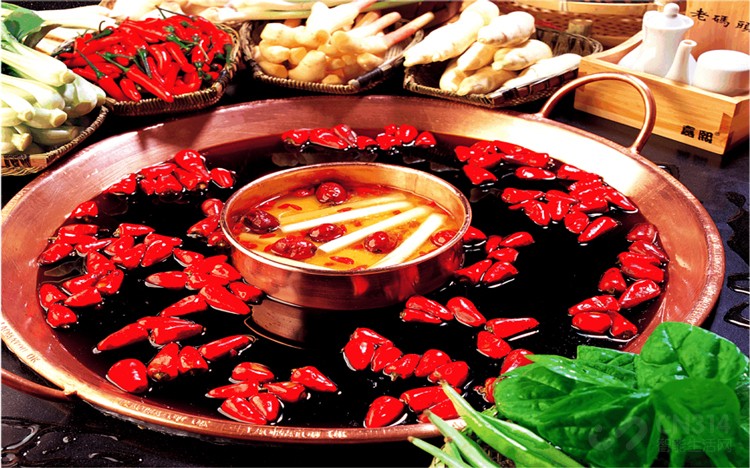 涮火锅用电火锅好还是用电磁炉好,电陶炉与电磁炉哪个更适合涮火锅