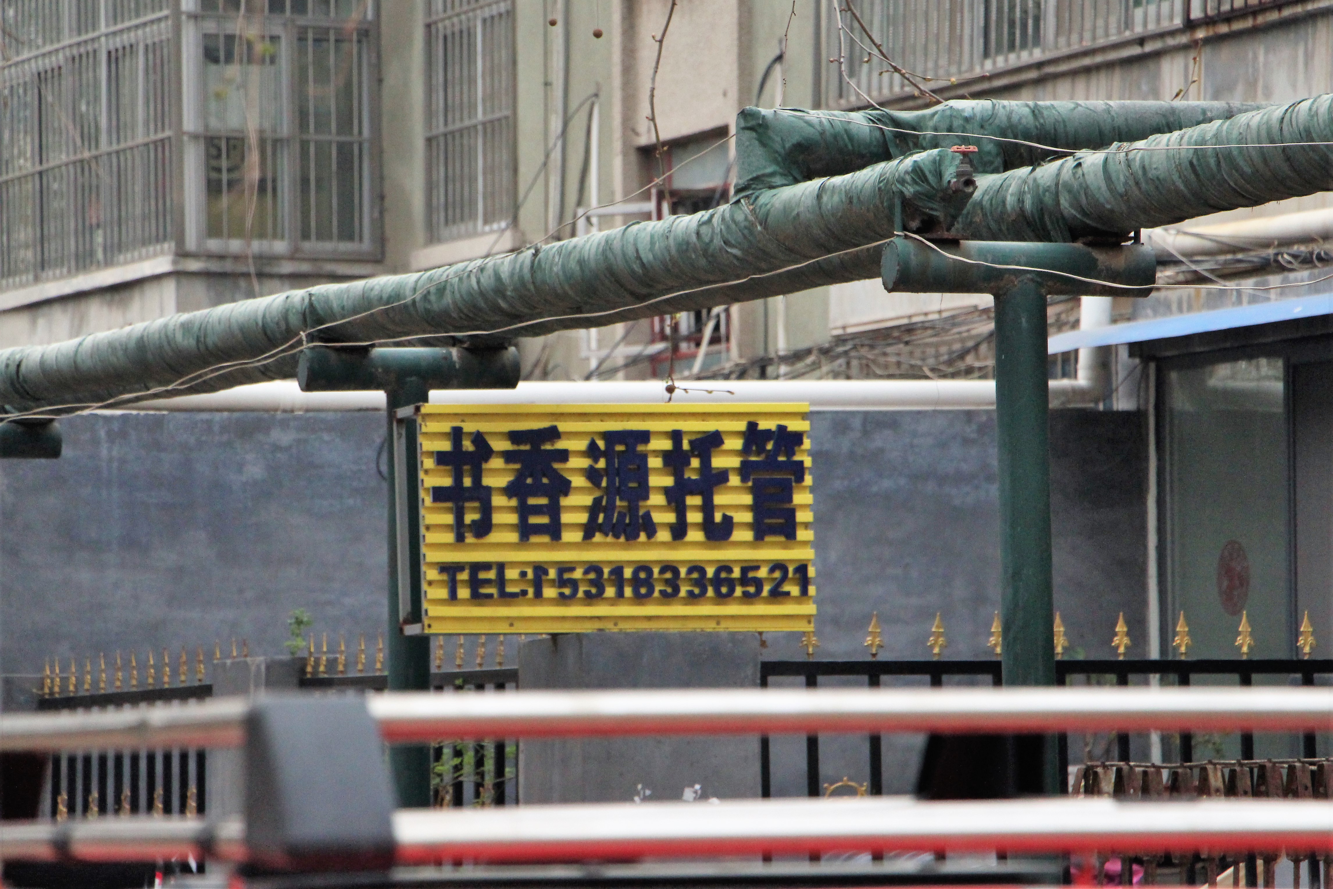 石大东营校园现状,东营石大是什么学校